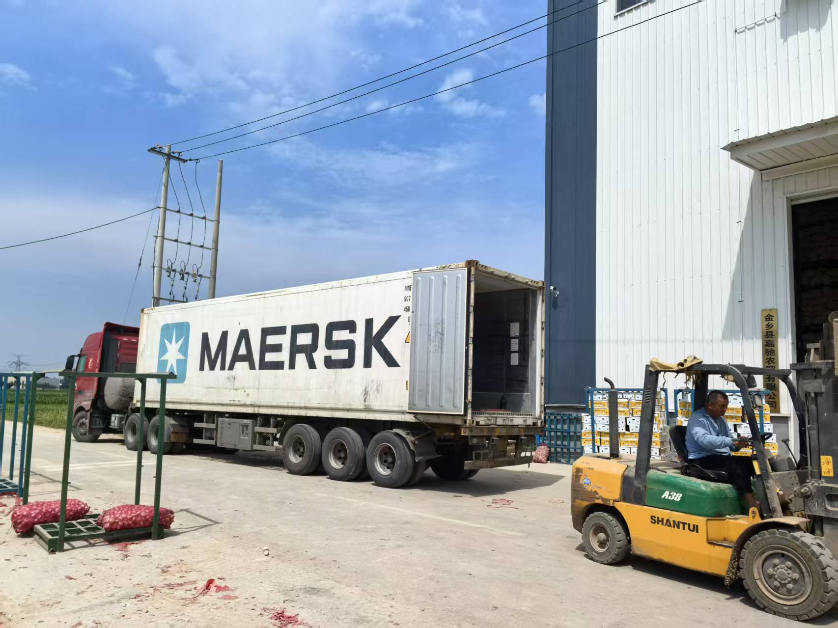 Refrigerated shipping container being loaded at a partner packhouse