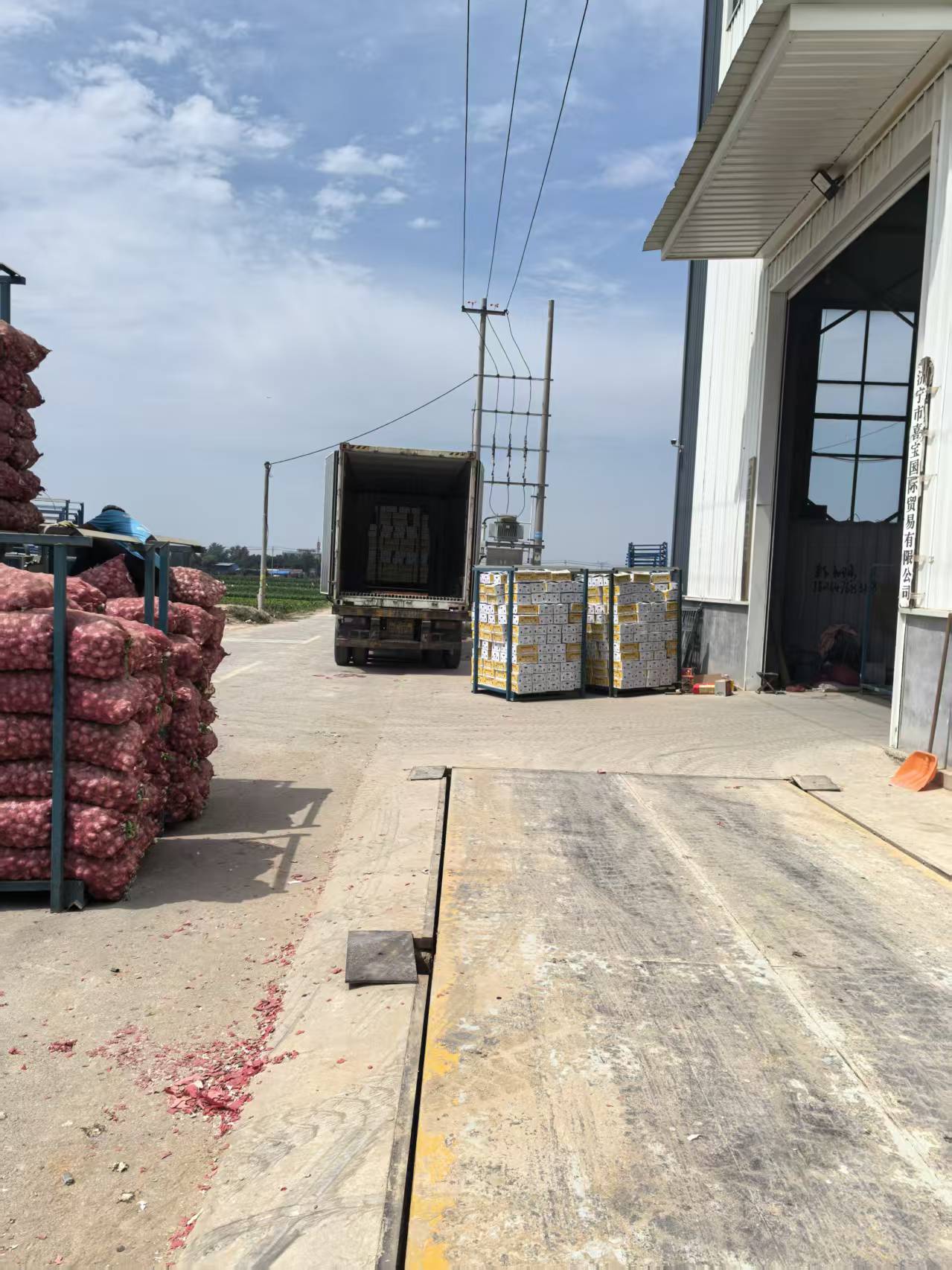 Palletised export cartons beside a loading container